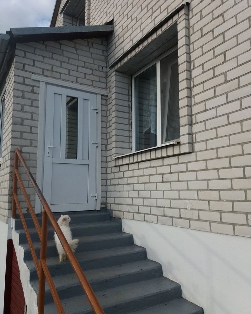 двери пвх